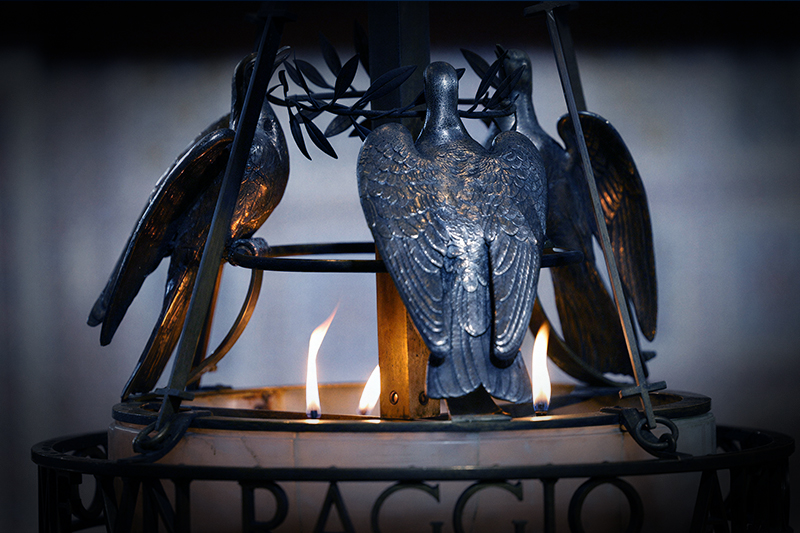 Charism of the Order